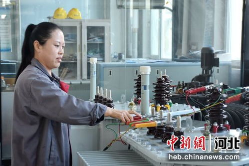 河北清苑 綠色工廠為經(jīng)濟(jì)發(fā)展注入新動(dòng)能，商務(wù)咨詢保駕護(hù)航